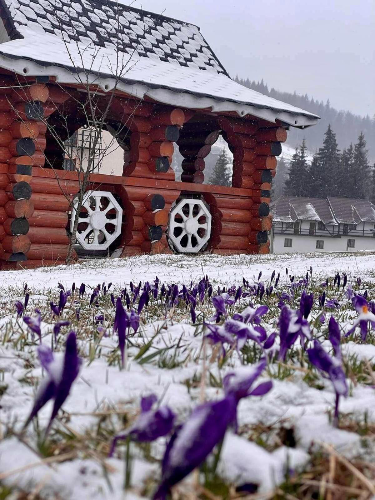 Sadyba U Halyny Bukoveľ Exteriér fotografie